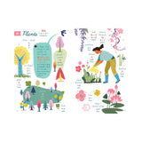 My First Book of Japanese (Children's Book)