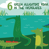 Let’s Count Florida