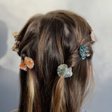 Mini Shell Claw Clips