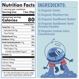 Skout Organic Blueberry Blast Kids Snack Bar | Nut-Free
