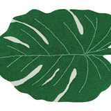 Monstera Leaf