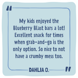 Skout Organic Blueberry Blast Kids Snack Bar | Nut-Free