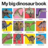 My Big Dinosaur Book (Casebound):