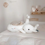 Tranquil Whale Family - White