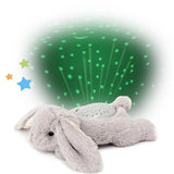 Dream Buddies - Benny Bunny