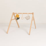 Baby Gym Toys - Tulips